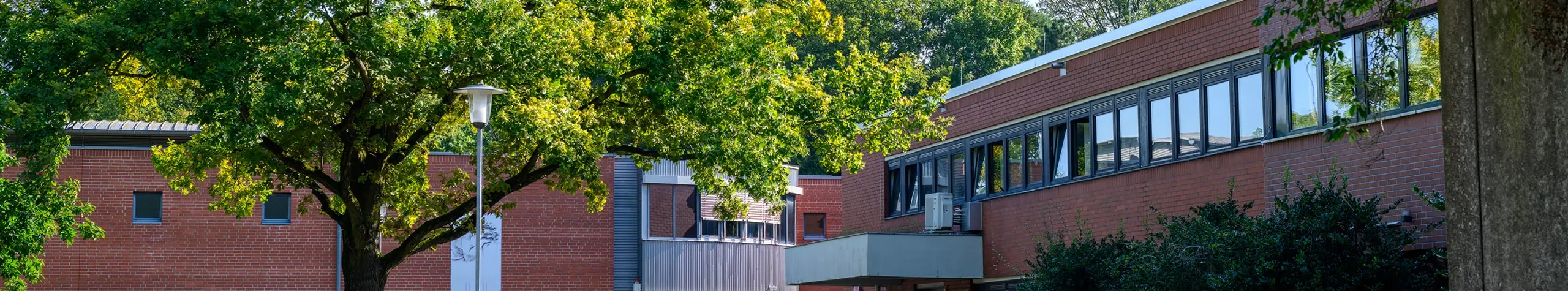 Moderner Backsteingebäudekomplex mit großen Fenstern inmitten grüner Bäume.