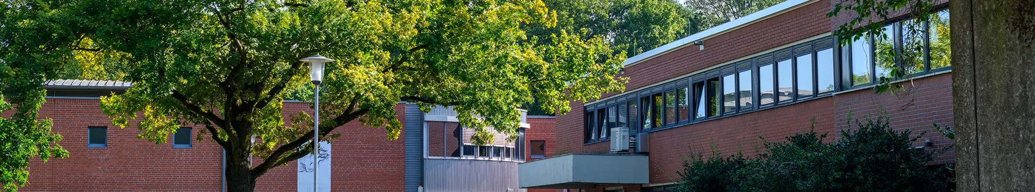 Moderne Backsteingebäude mit großen Fenstern, umgeben von grünen Bäumen, Sträuchern und einer Straßenlaterne.